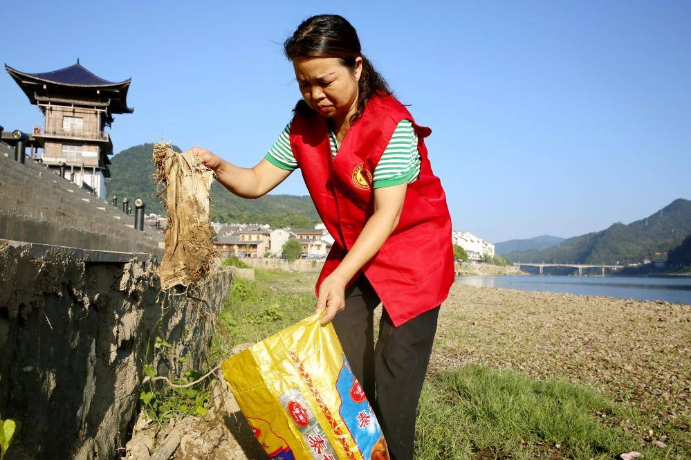 全国劳动模范、湖南好人引领雷锋青少年扮靓沅江河畔