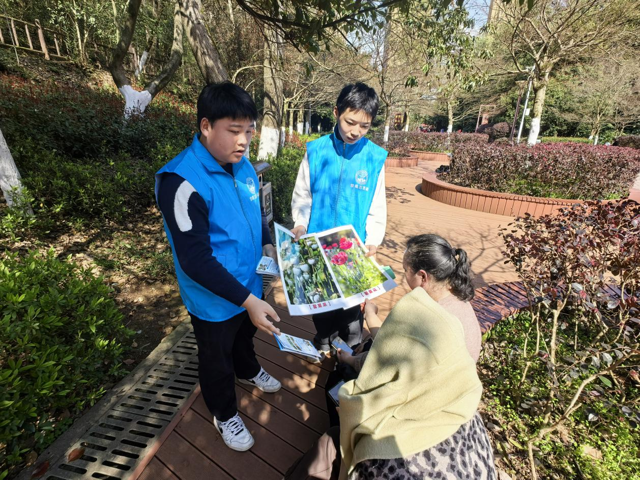 图片8.png