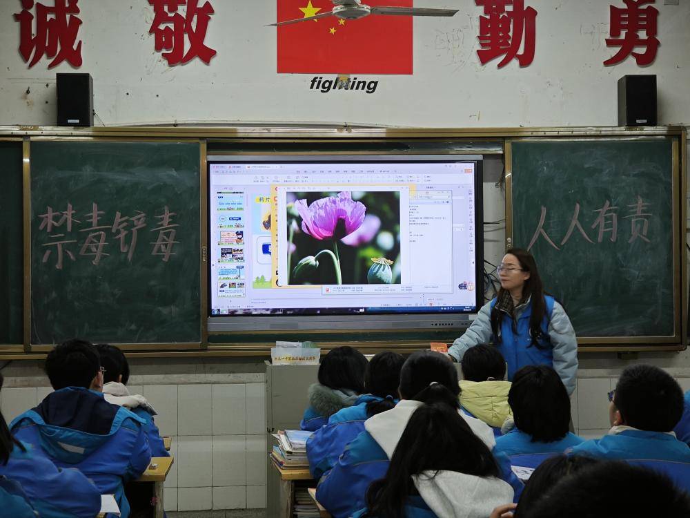 禁毒铲毒，人人有责