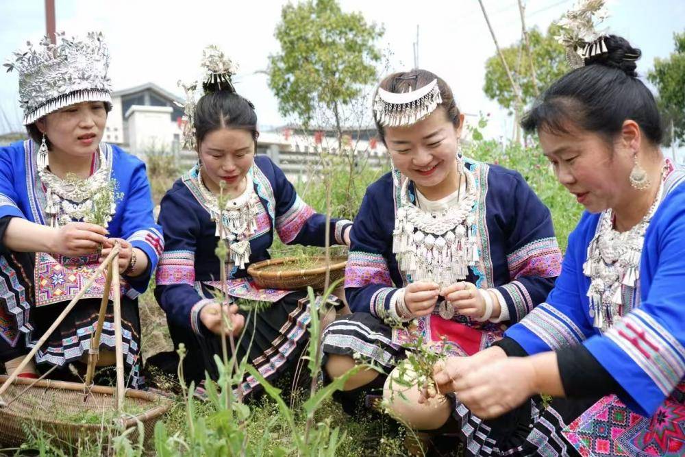 从公益行者到家乡推介官： 初心不改，光影为笔绘家乡