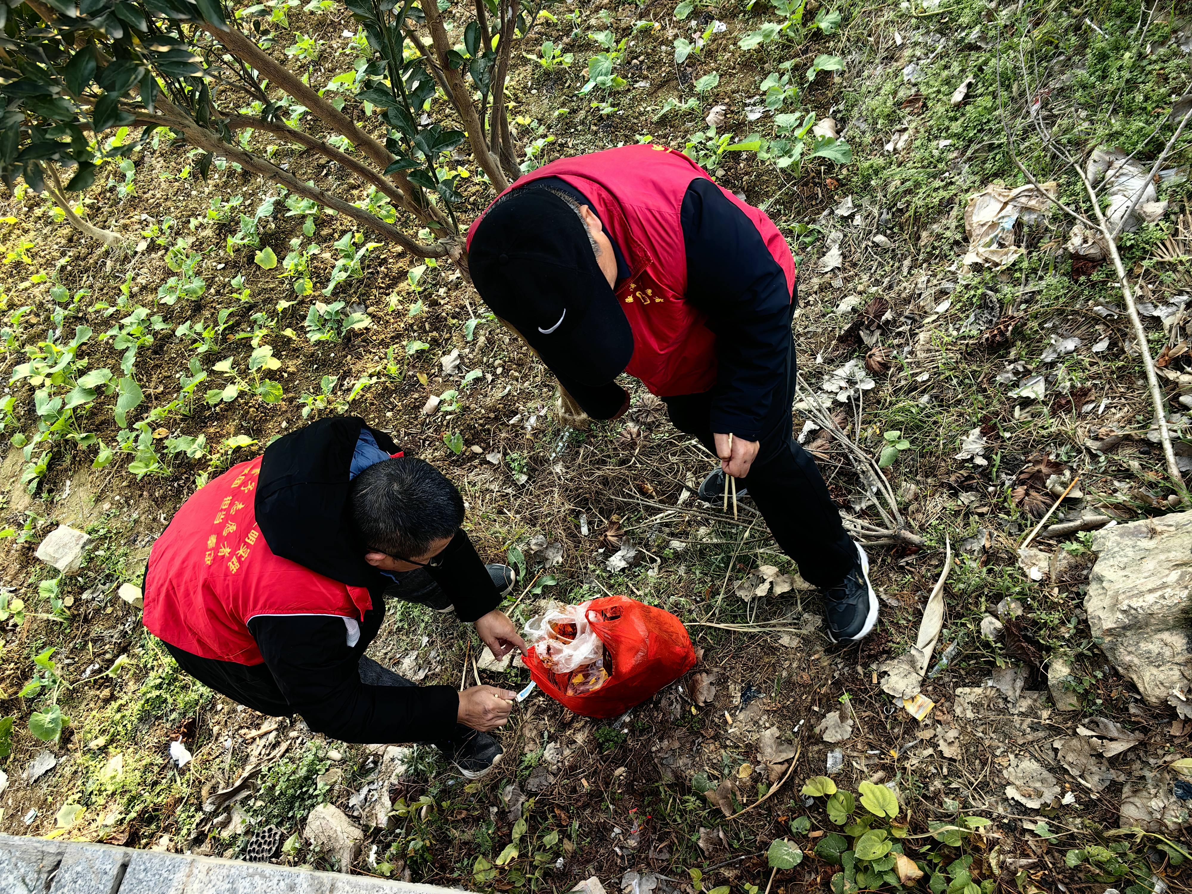 微信图片_20241225155025.jpg