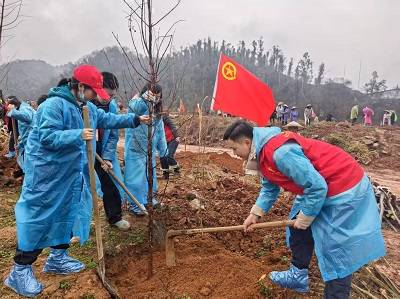 履行植树义务 共建美丽怀化