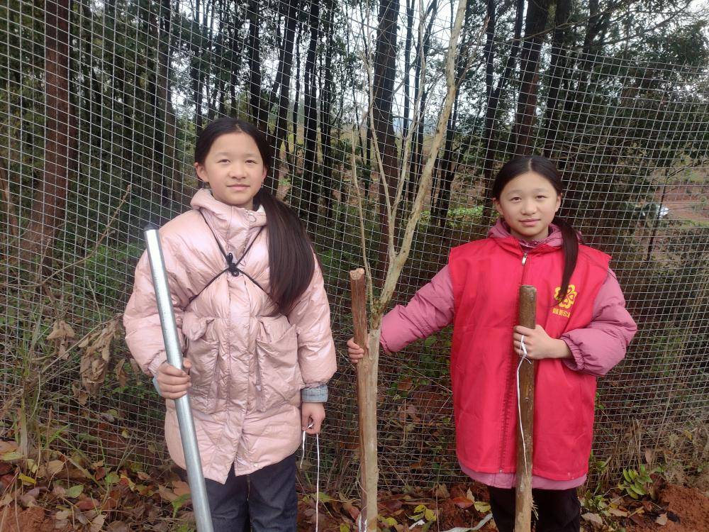 志愿红守护生态绿     青少年植树添新绿