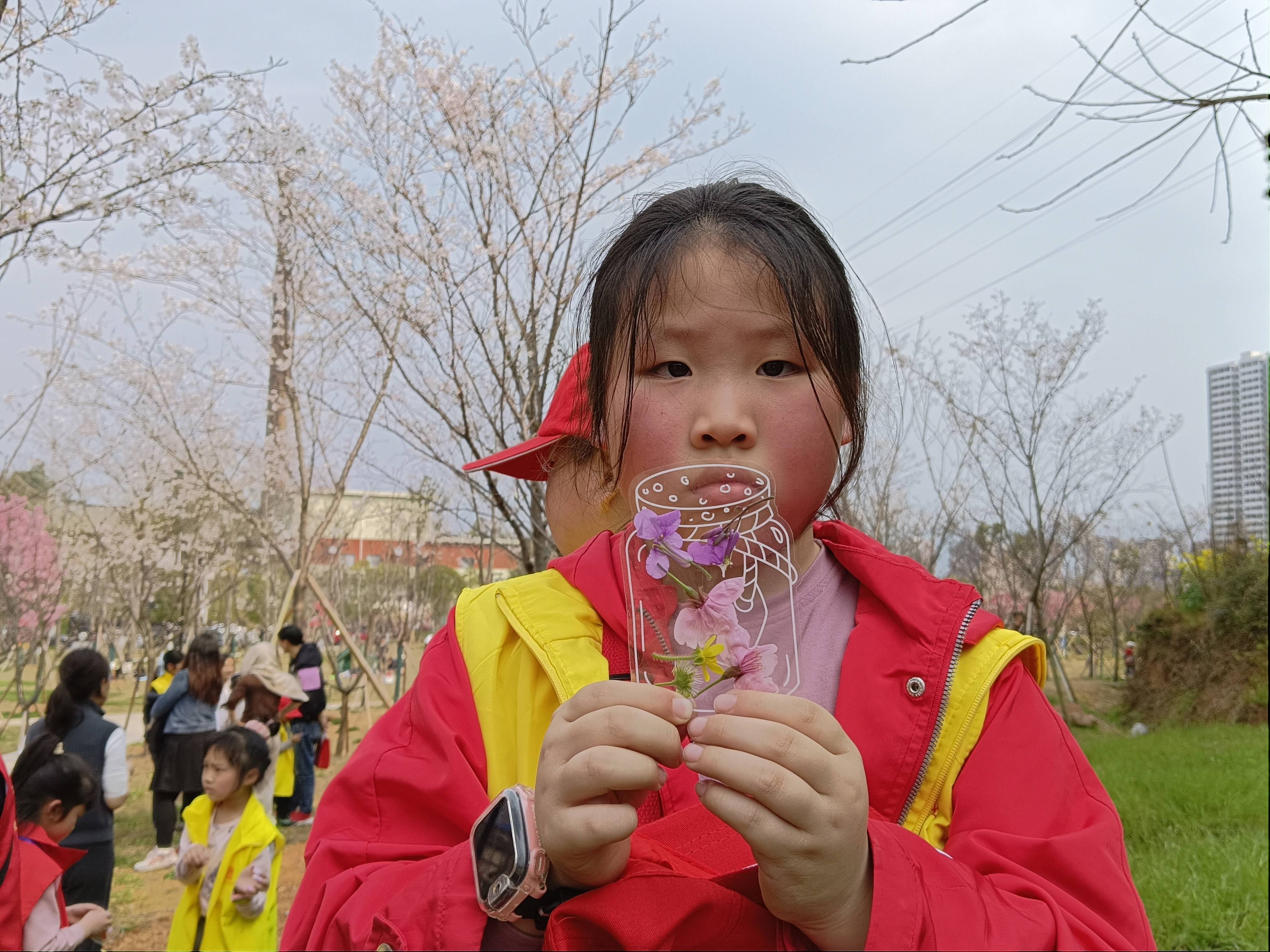 IMG_20250322_151515.jpg