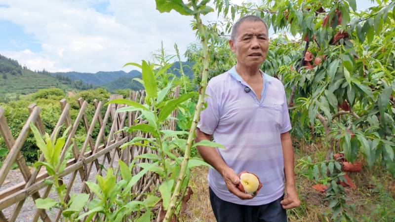 “小小助残”9个月助农44场次 募集物资善款 19 万元 助